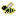 Barren Bee