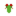 Cicada