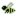 Decaying Bee