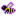 Ecstatic Bee