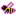Energetic Bee