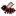 Furious Bee