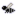 Galvanized Bee