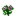 Indigo Flower