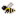 Sugary Bee