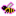 Sweetened Bee