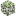 Timewood Leaves